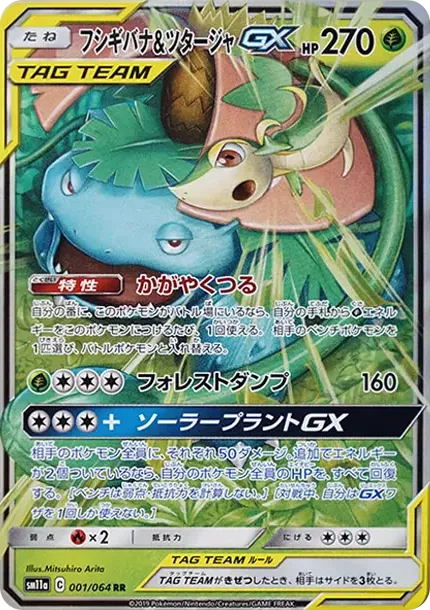 Venusaur & Snivy GX
