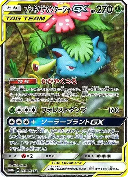 Venusaur & Snivy GX SR: SA