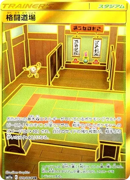 Martial Arts Dojo