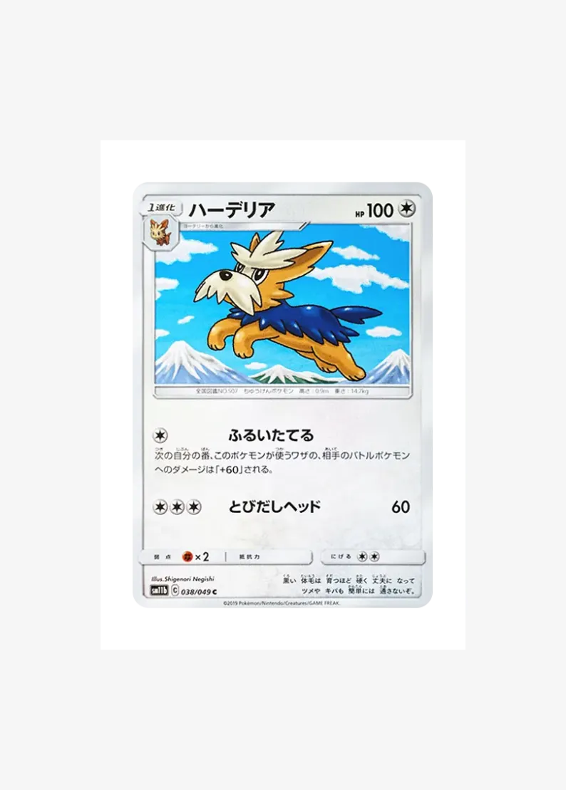 ハーデリア