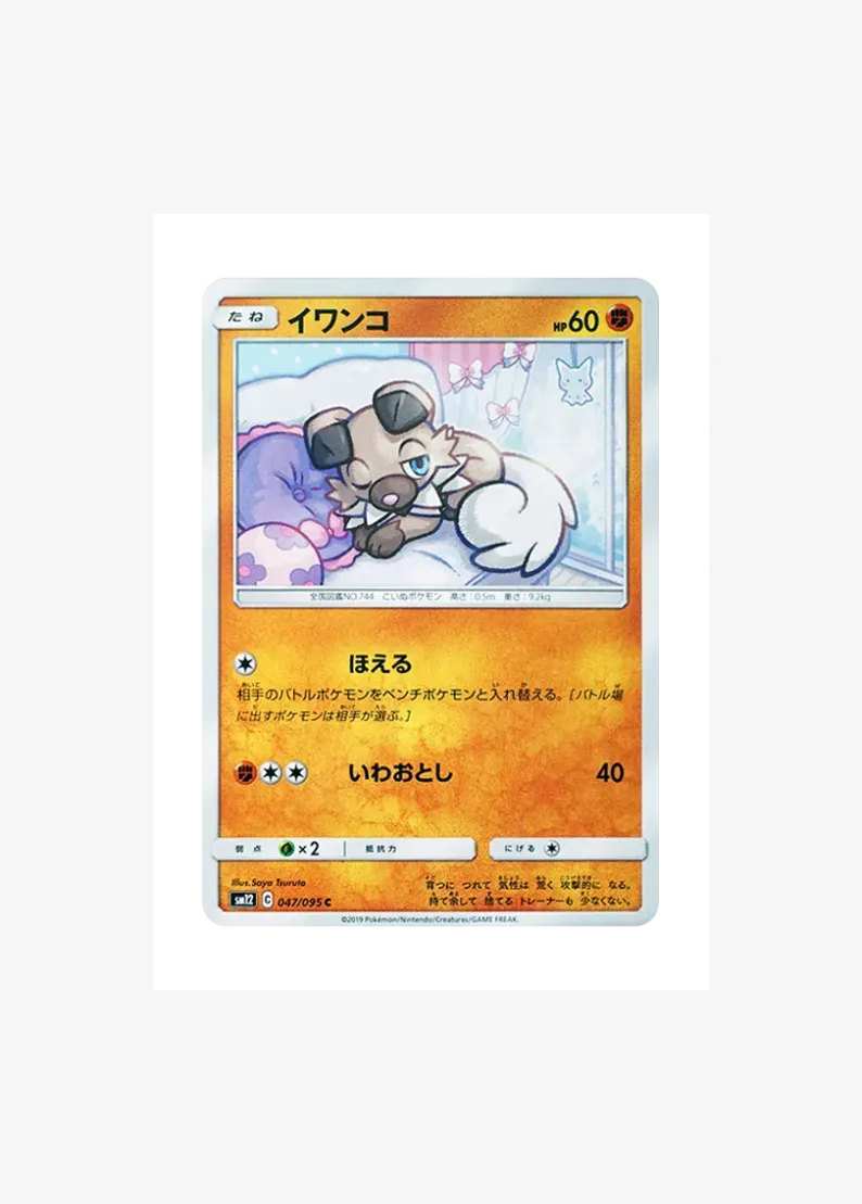 イワンコ