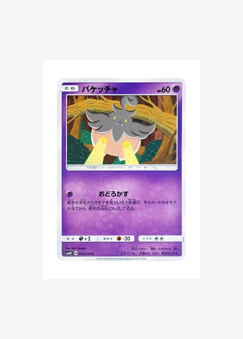 バケッチャ