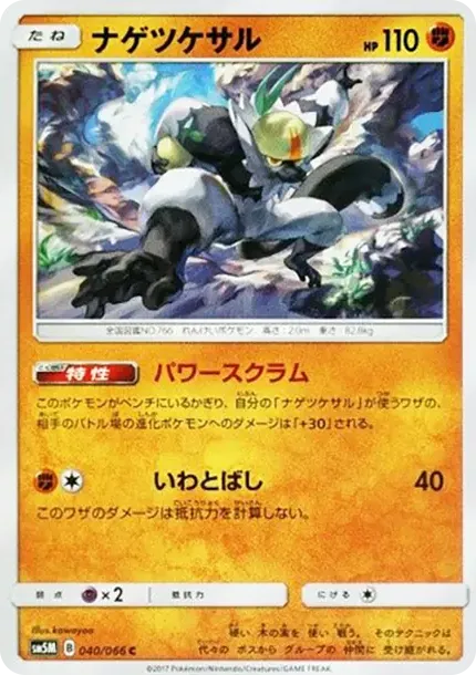 Passimian C