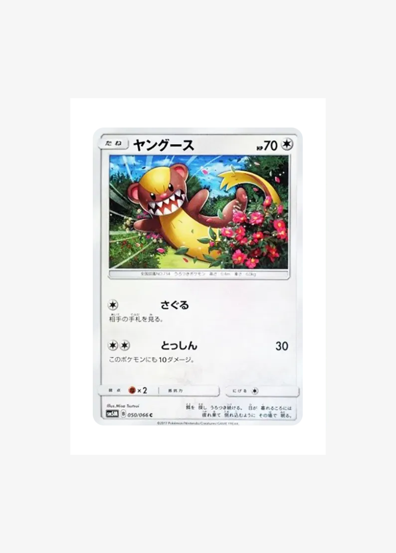 ヤングース