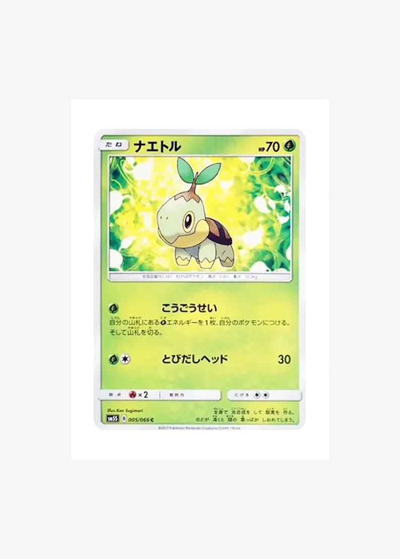 Turtwig C