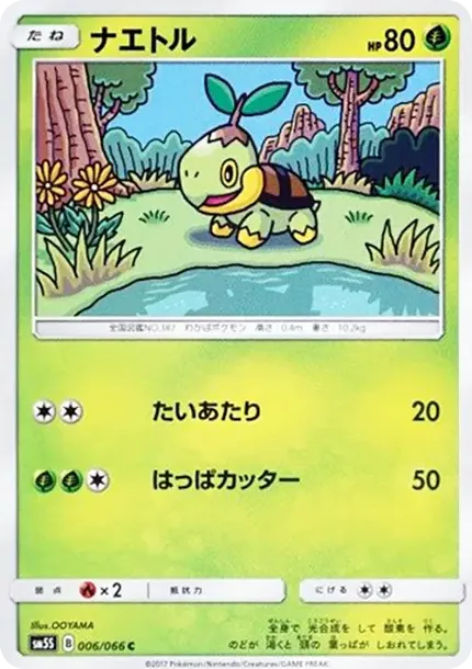 Turtwig C