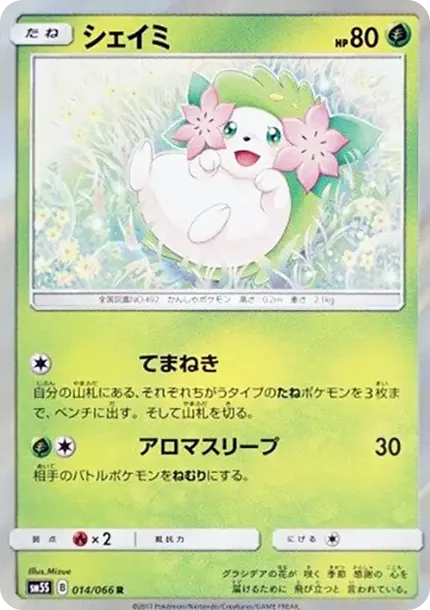 Shaymin R