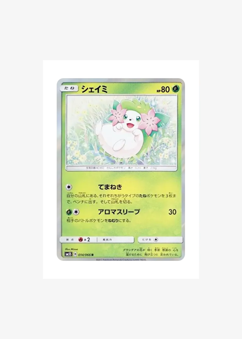 Shaymin R