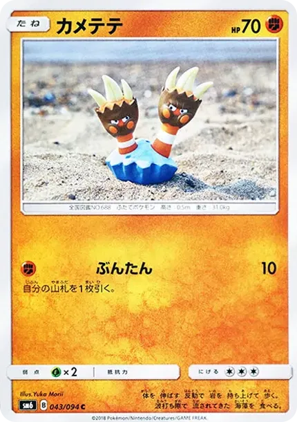 거북손손