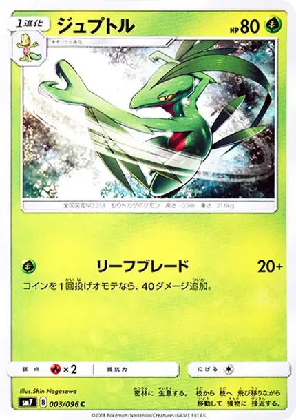 Grovyle C