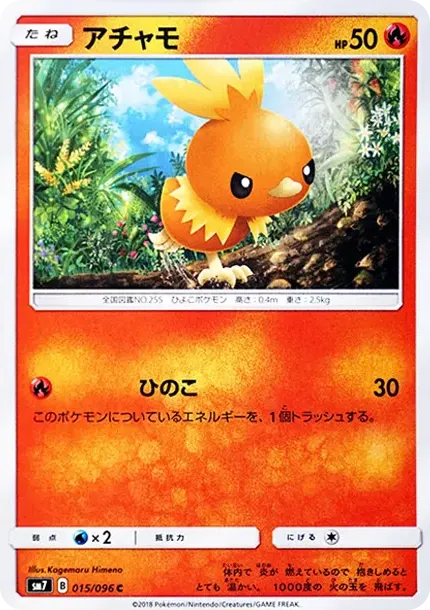 Torchic C