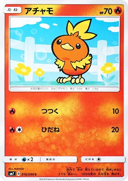 Torchic C