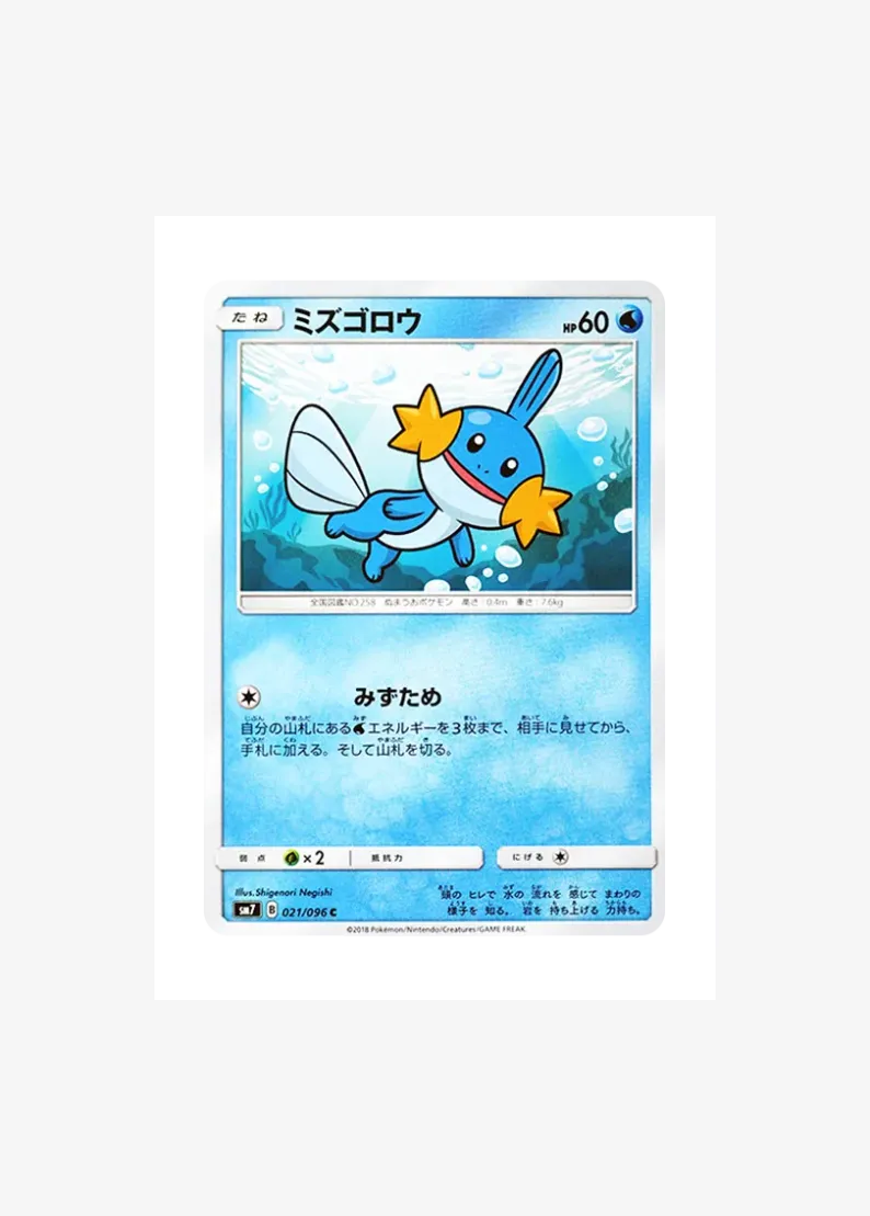 Mudkip C