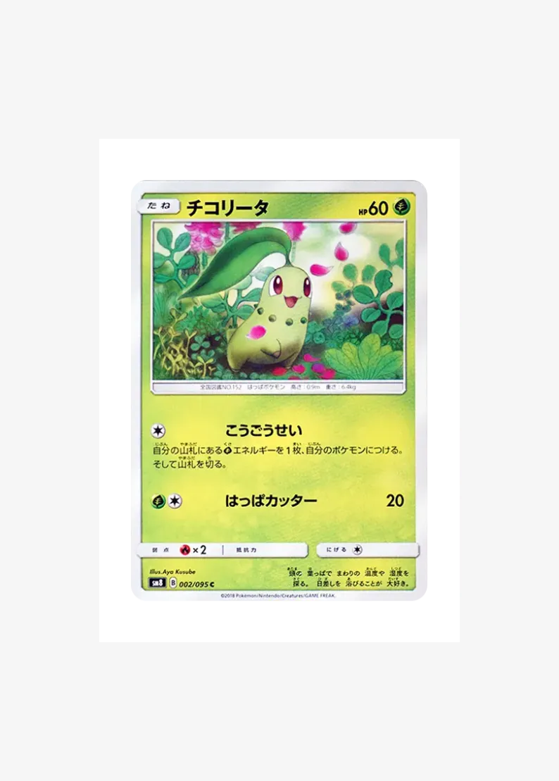 Chikorita C