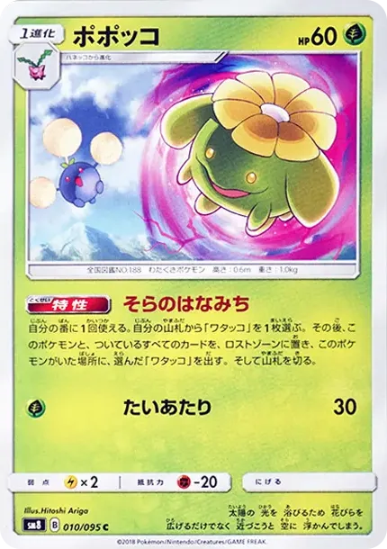 Skiploom C