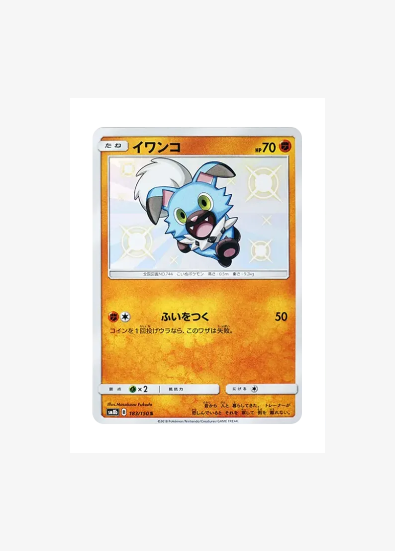 イワンコ