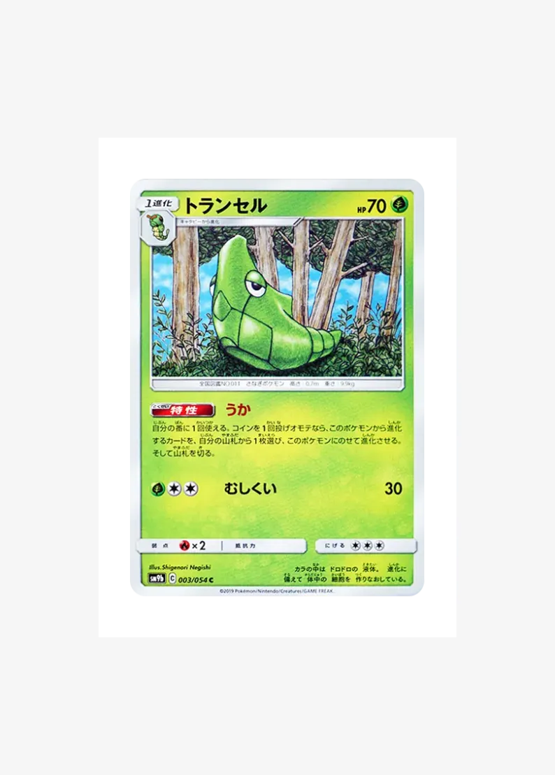 Metapod C