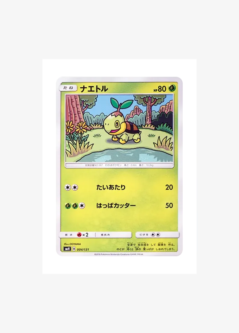 Turtwig