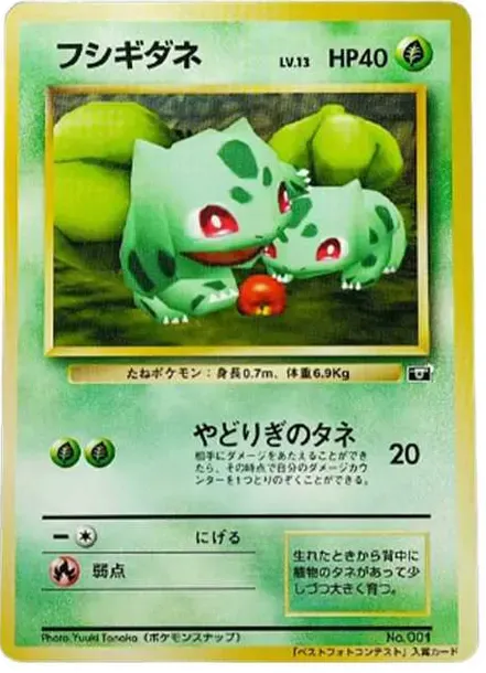 Bulbasaur : PROMO