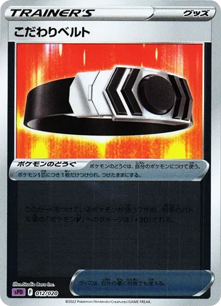 Choice Belt :Mirror