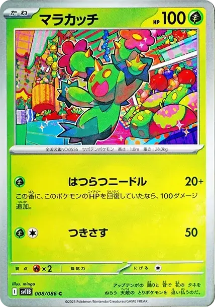 Maractus