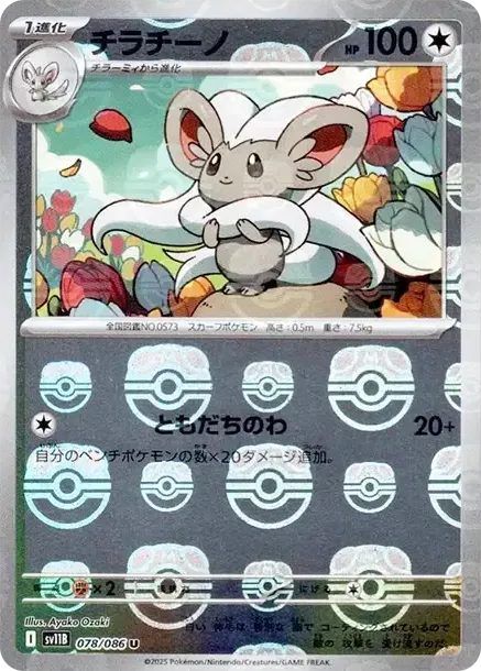 Cinccino