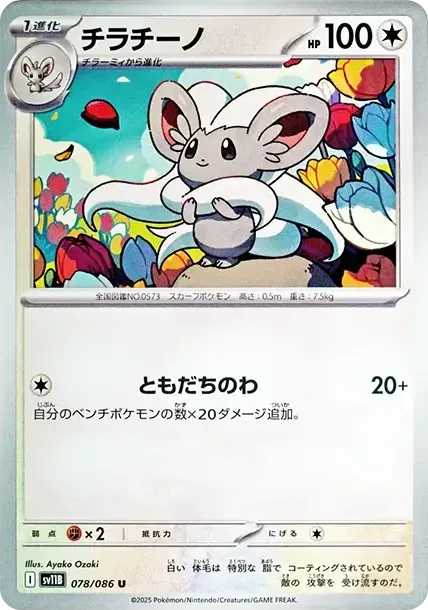 Cinccino