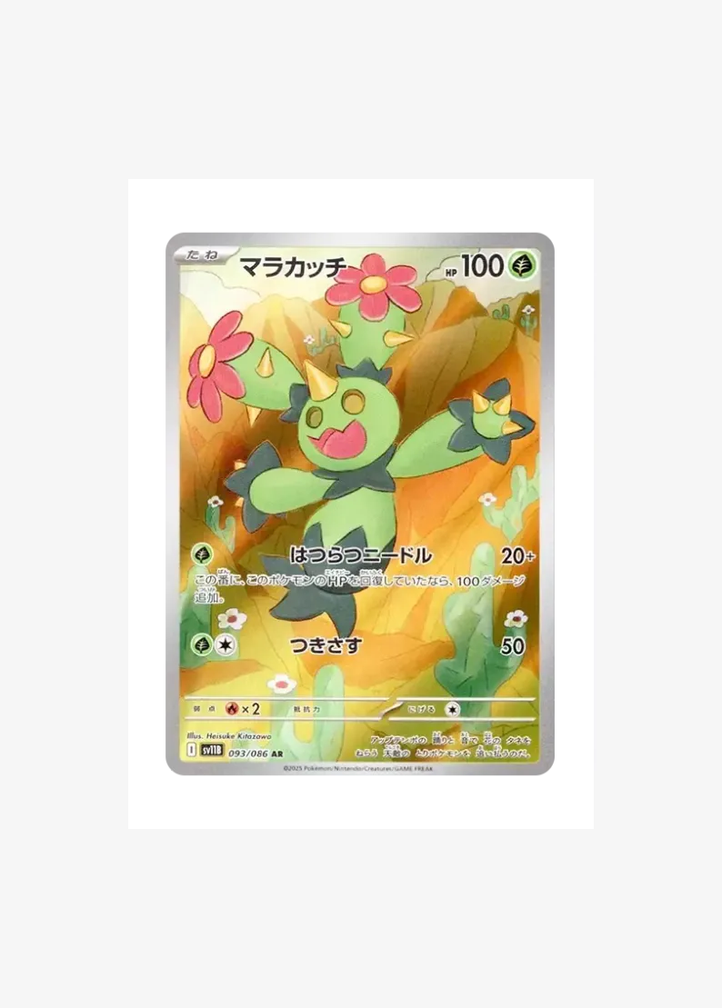 Maractus