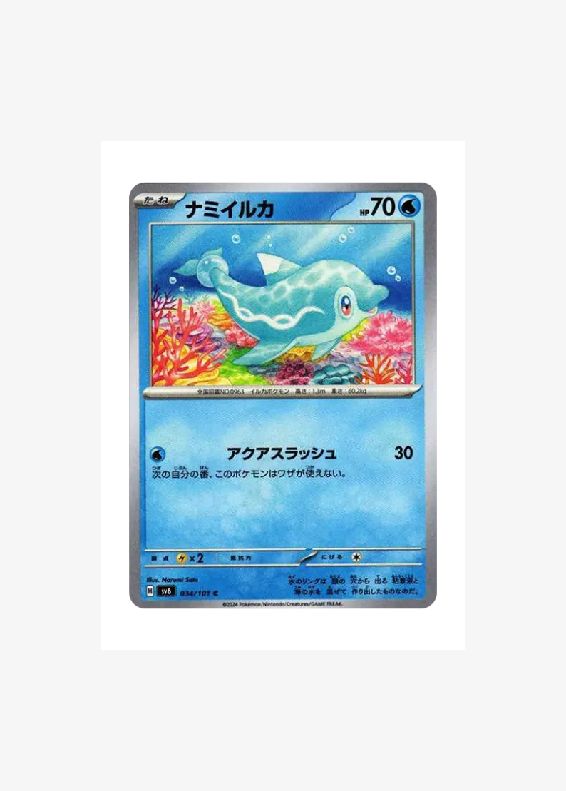 ナミイルカ