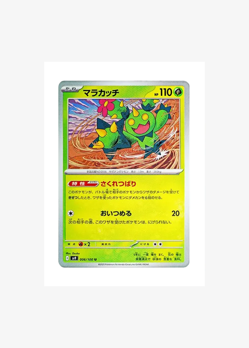 Maractus