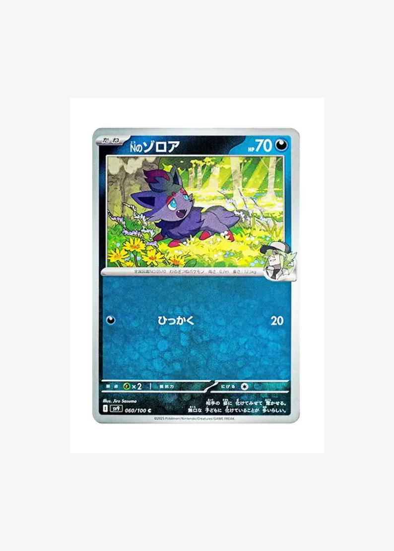 N's Zorua