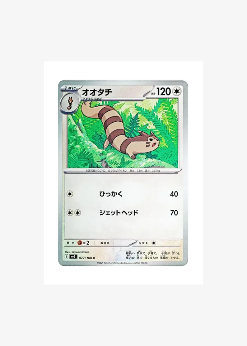 Furret