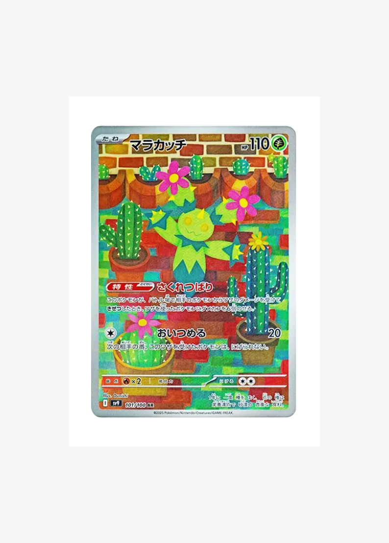 Maractus