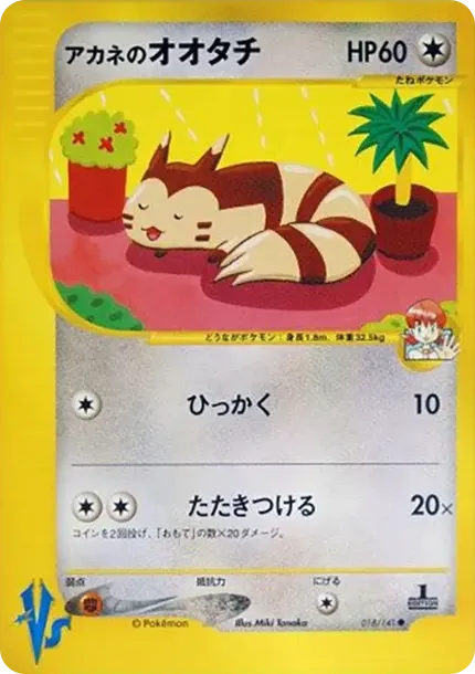 Whitney's Furret :1ED