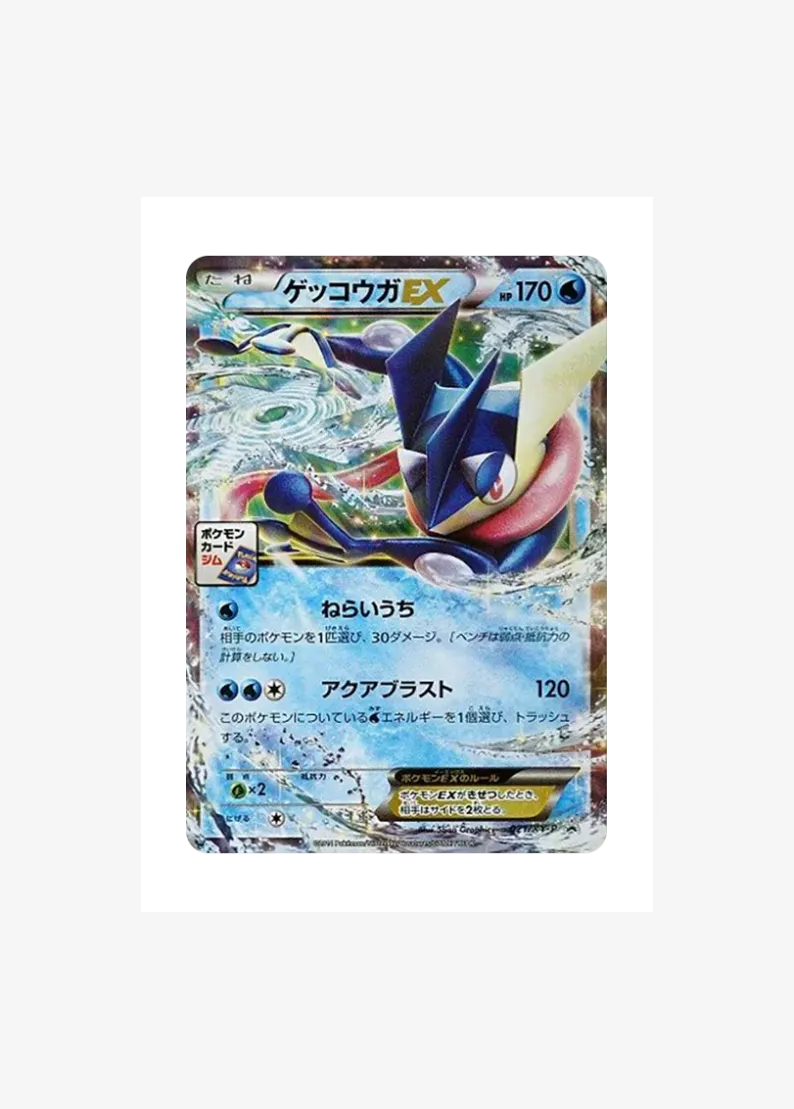 Greninja EX P