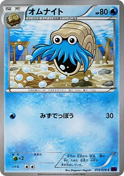 Omanyte C