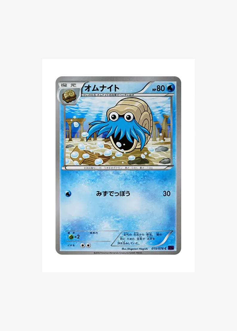 Omanyte C