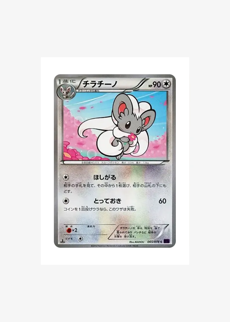 Cinccino