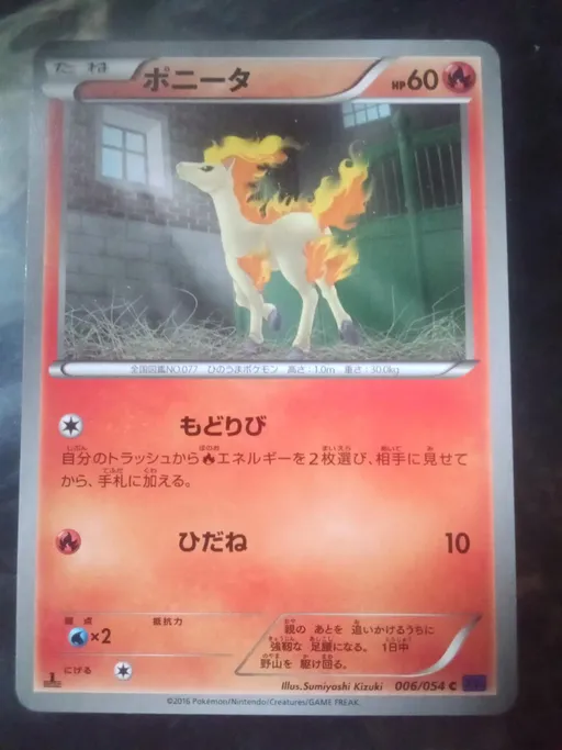 Ponyta
