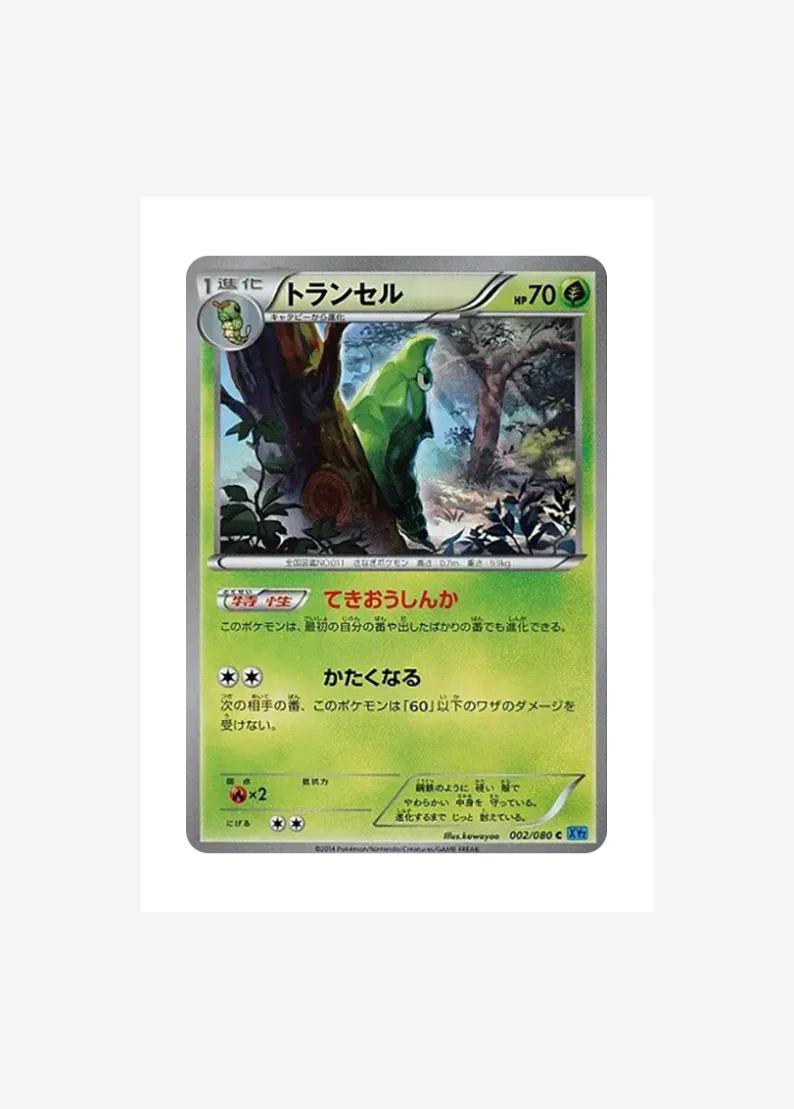 Metapod C