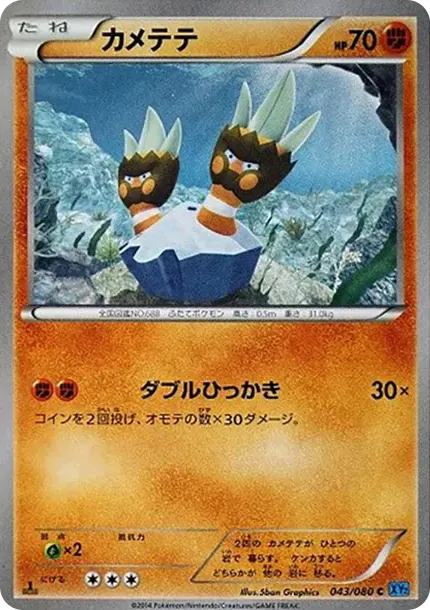 거북손손