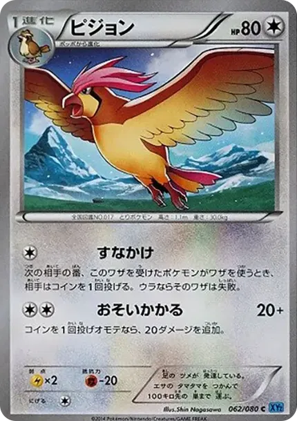 ピジョン