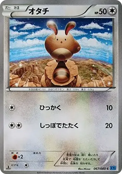 꼬리선