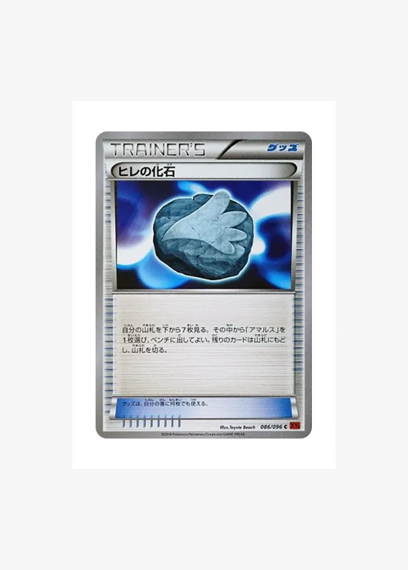 Fin Fossil C