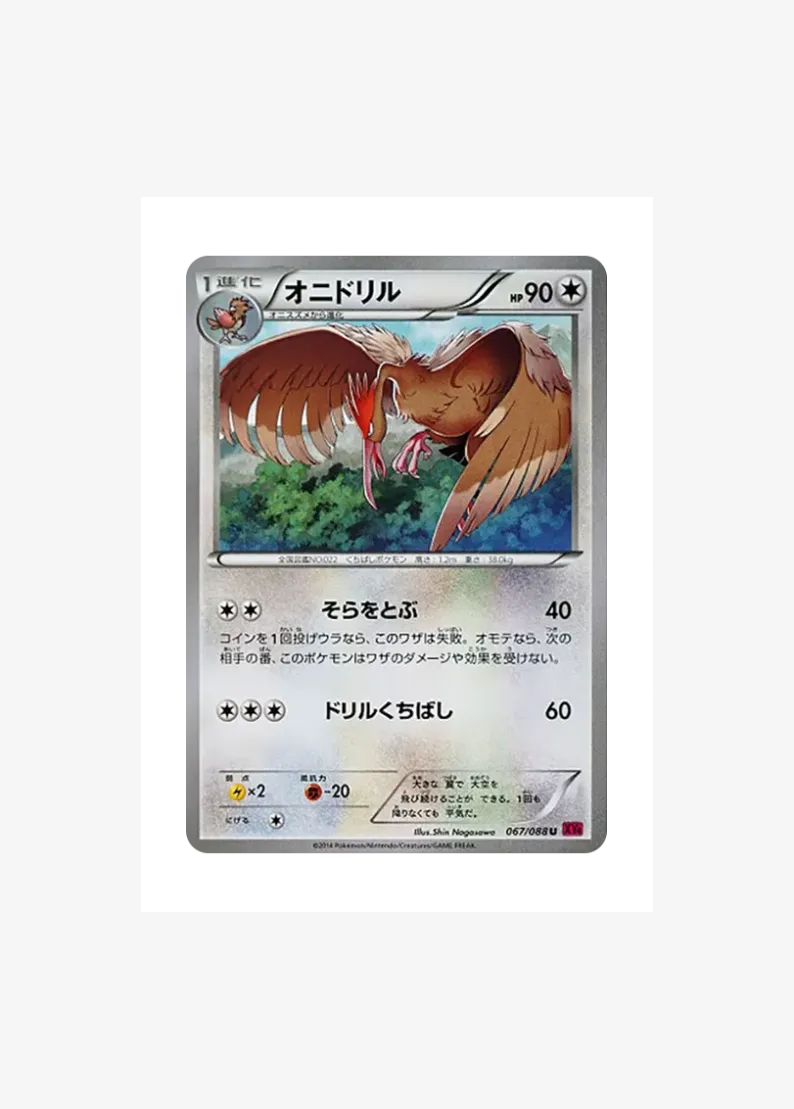 オニドリル
