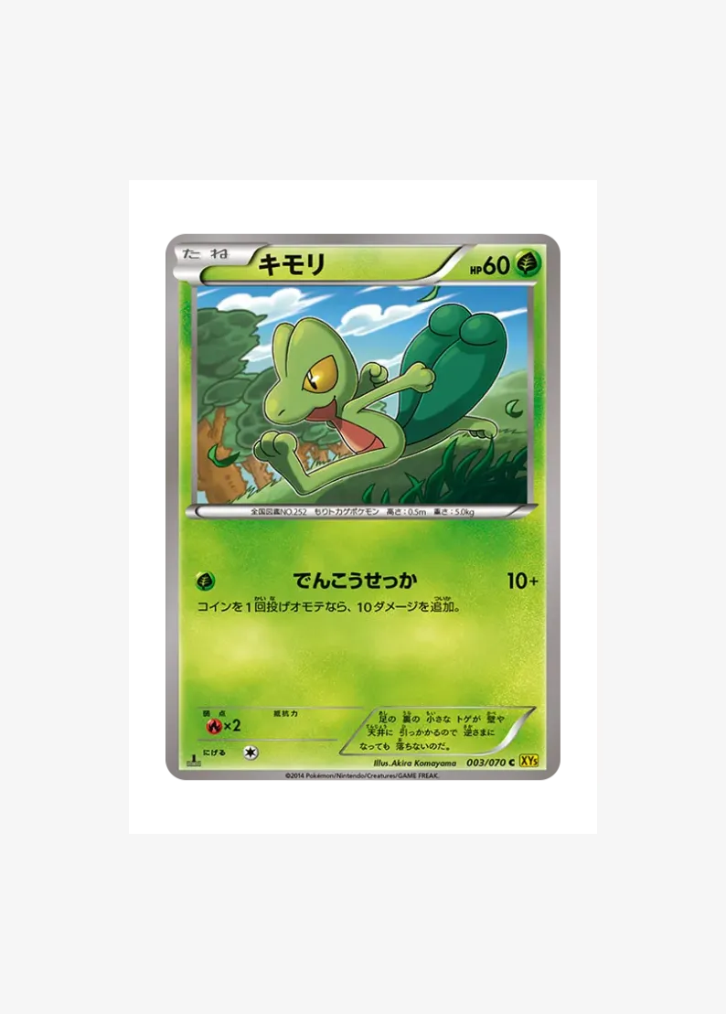 Treecko