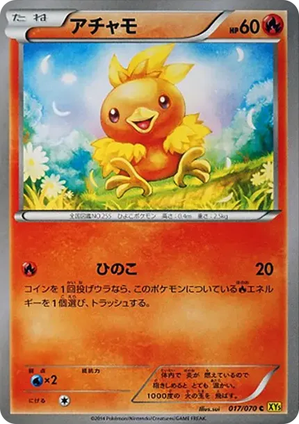 Torchic C