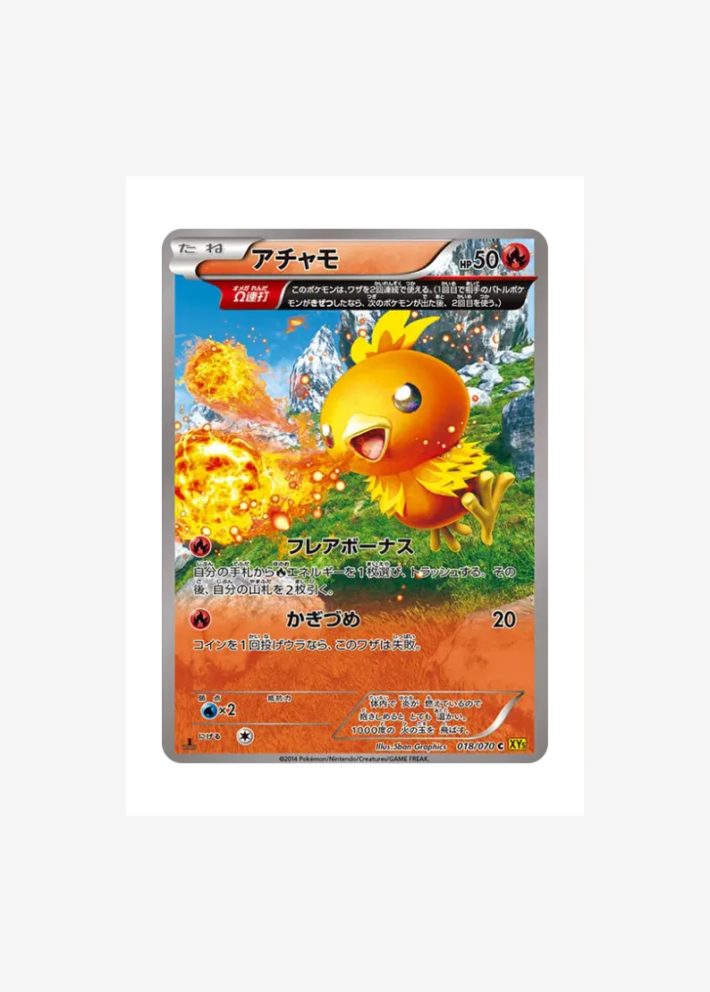 Torchic