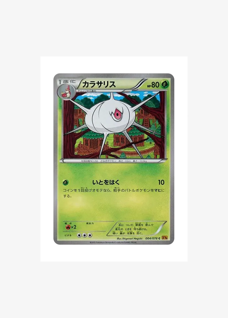 Silcoon C