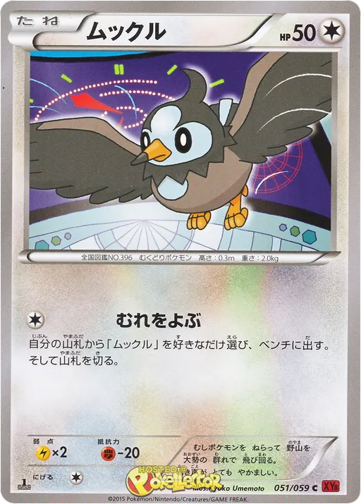 찌르꼬